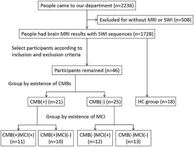 Iron deposition in the precuneus is correlated with mild cognitive impairment in patients with cerebral microbleeds: A quantitative susceptibility mapping study